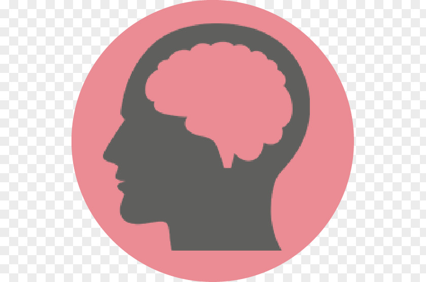 Psychological Human Brain Head Clip Art PNG