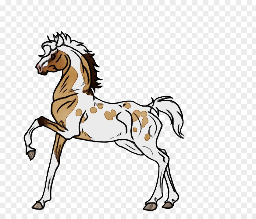 Stallion Mustang Horse Animal Figure Mane Line Art Mare PNG