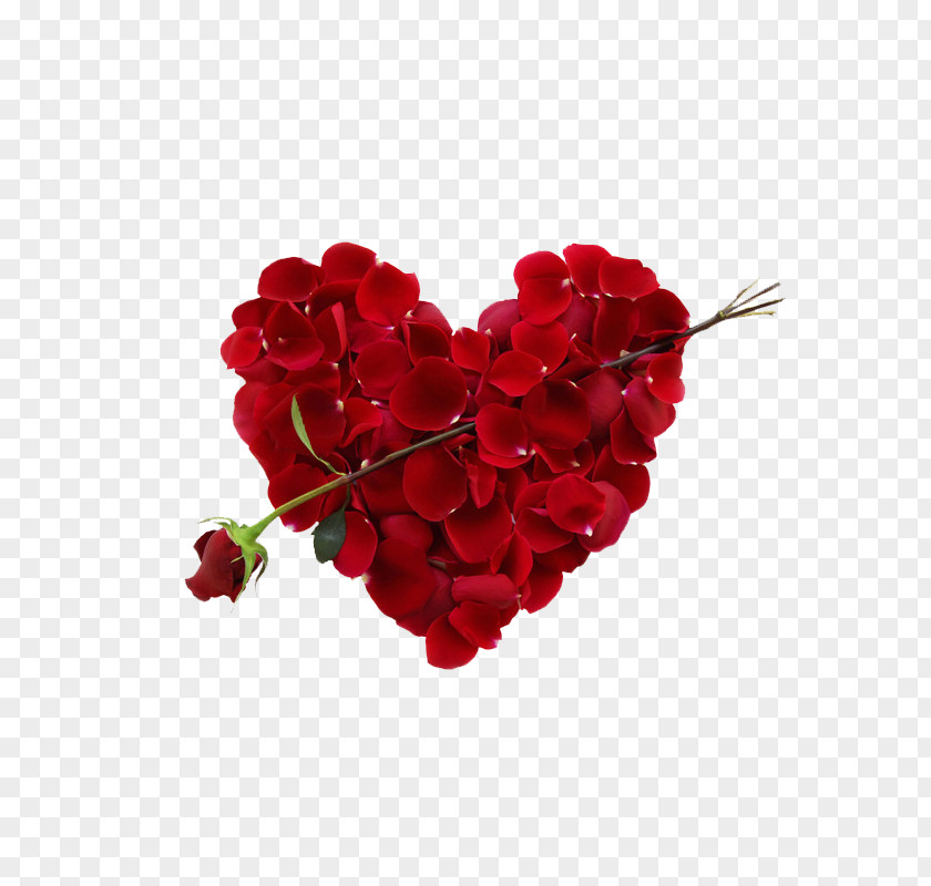 Valentine Roses Clip Art Vector Graphics Image Psd PNG