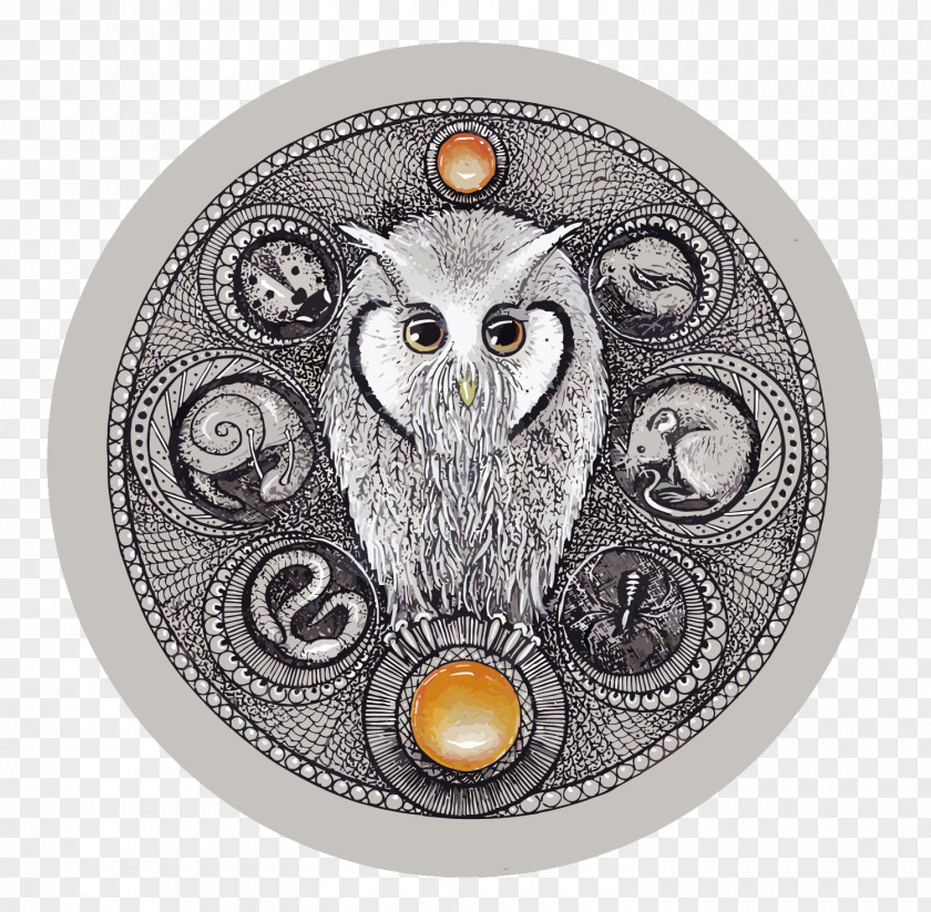 Vector Owls And Recipes Little Owl PNG