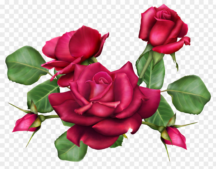 Bouquets Of Roses Flower Bouquet Garden PNG