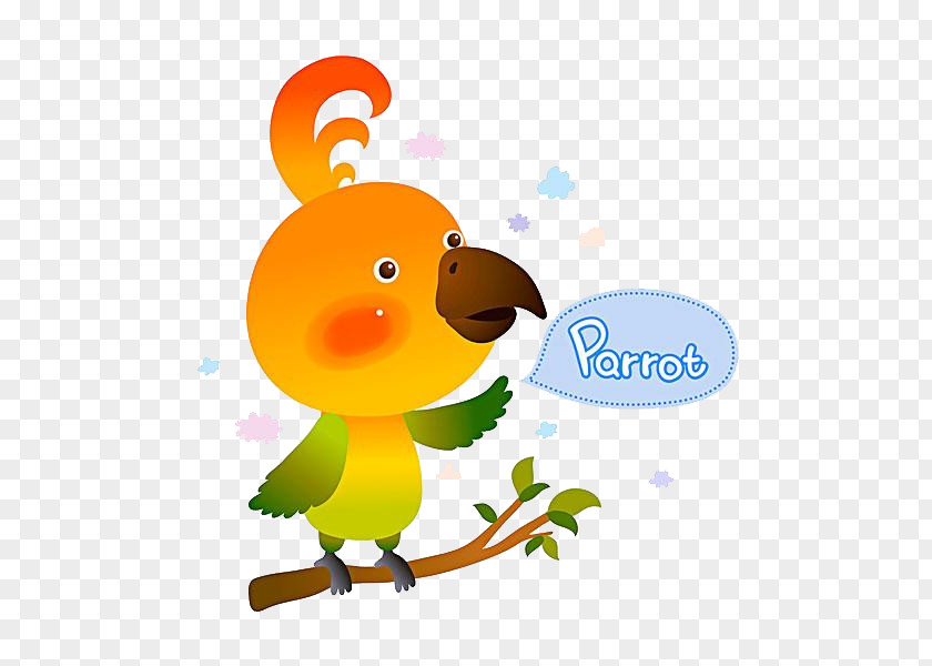 Branches On The Parrot Bird Duck Clip Art PNG