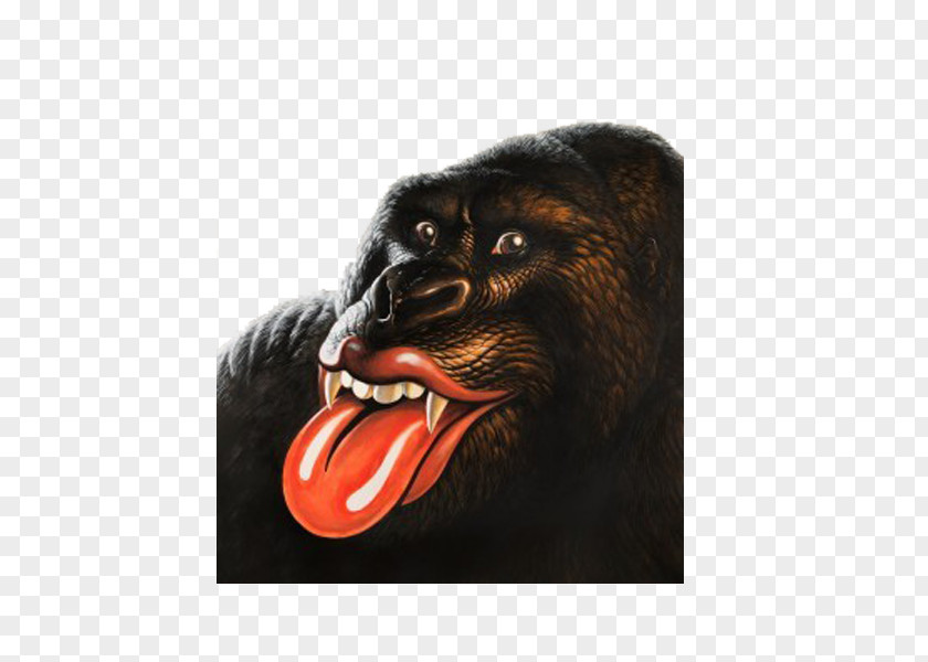 Cute Orangutan Jump Back: The Best Of Rolling Stones GRRR! Album Compact Disc PNG