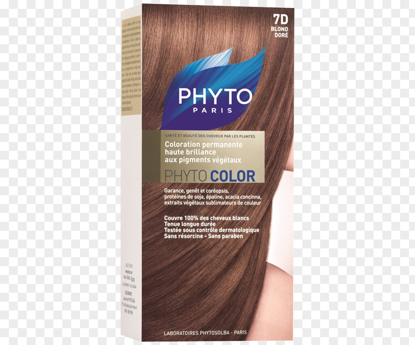 Hair Chestnut Color Capelli Paint PNG