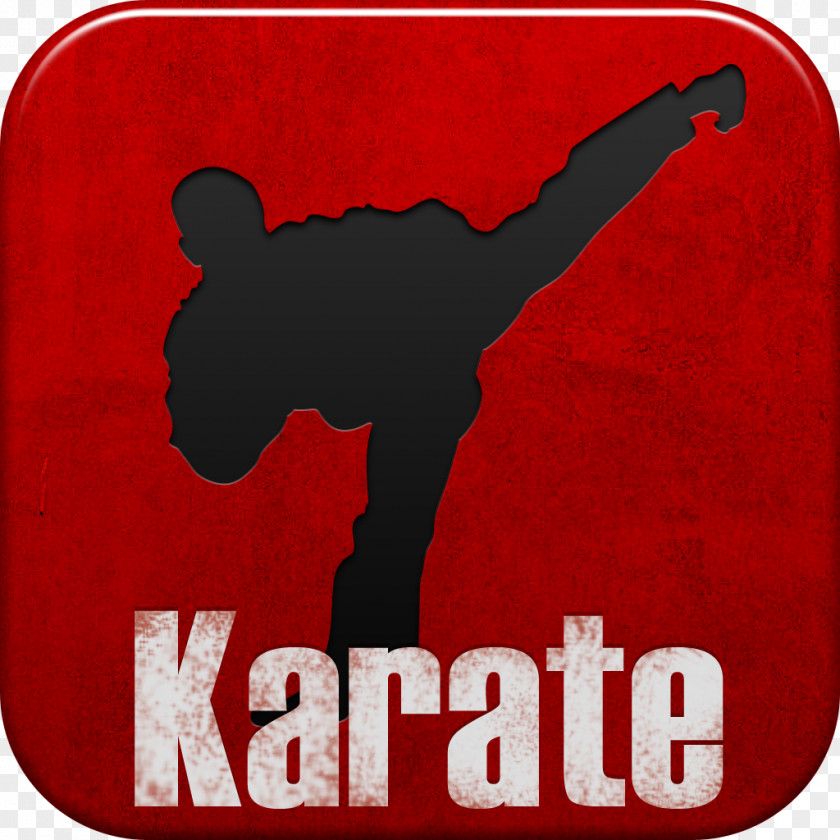 Karate Netflix Martial Arts Film Television Show The Kid PNG