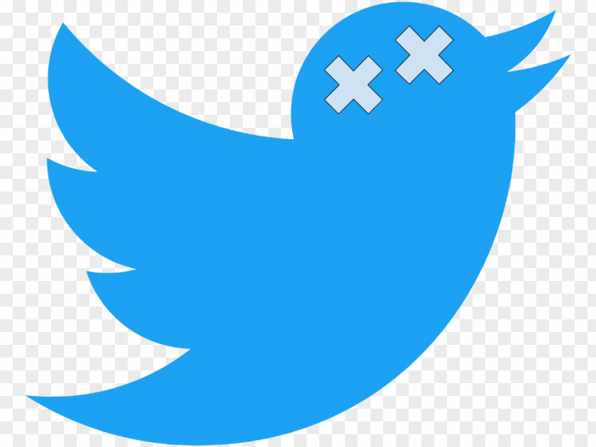 Twitter Logo Image PNG