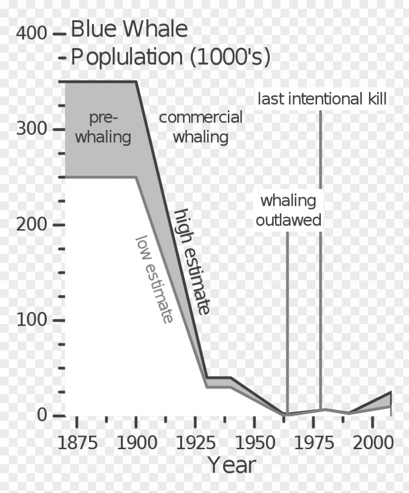 Blue Whale Bryde's Mammal Whaling Vocalization PNG