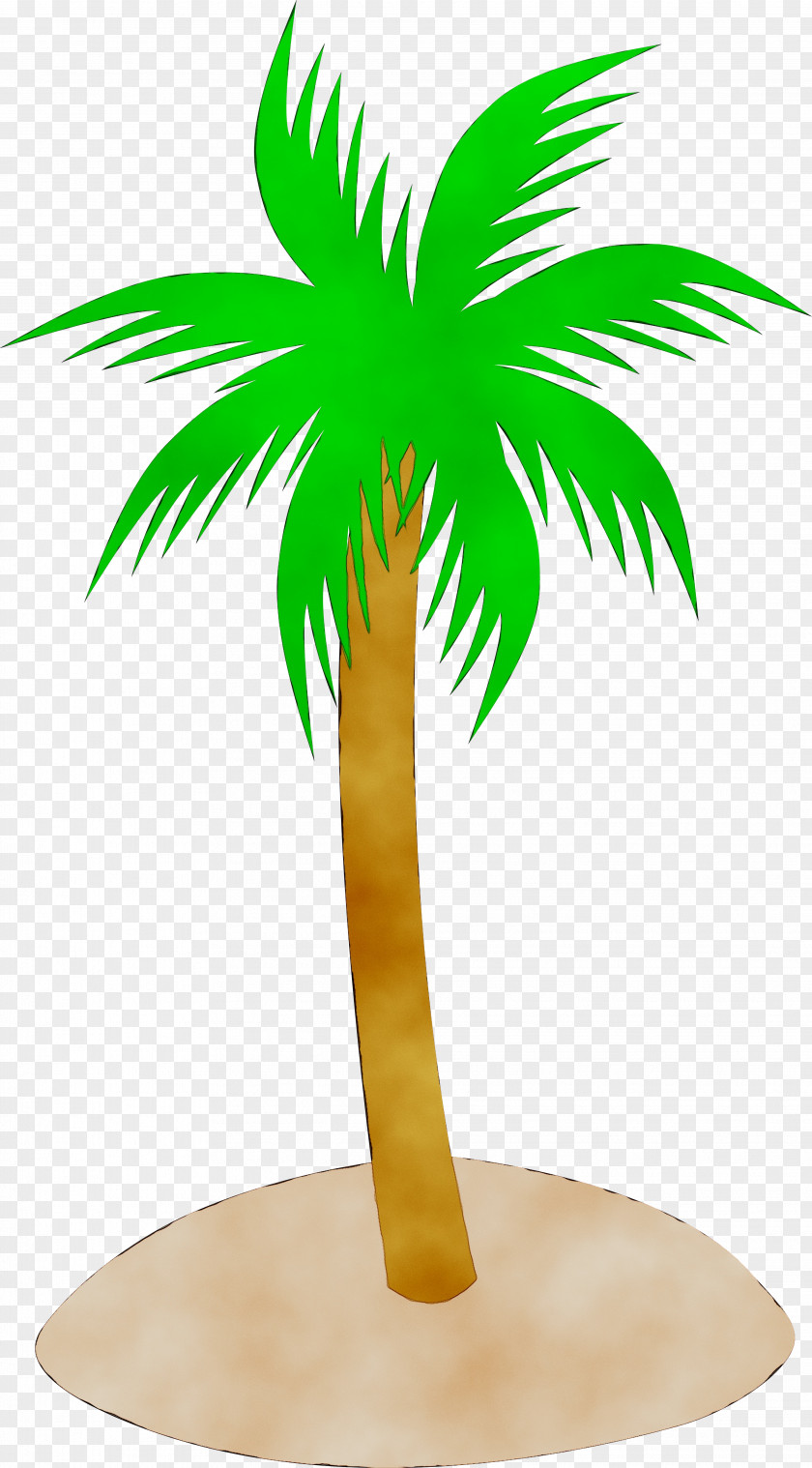 Clip Art Openclipart Palm Trees Image Free Content PNG