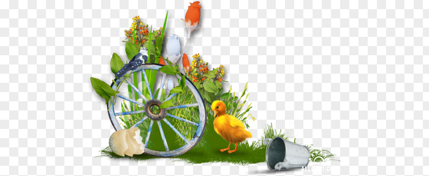 Easter Desktop Wallpaper Bunny PNG