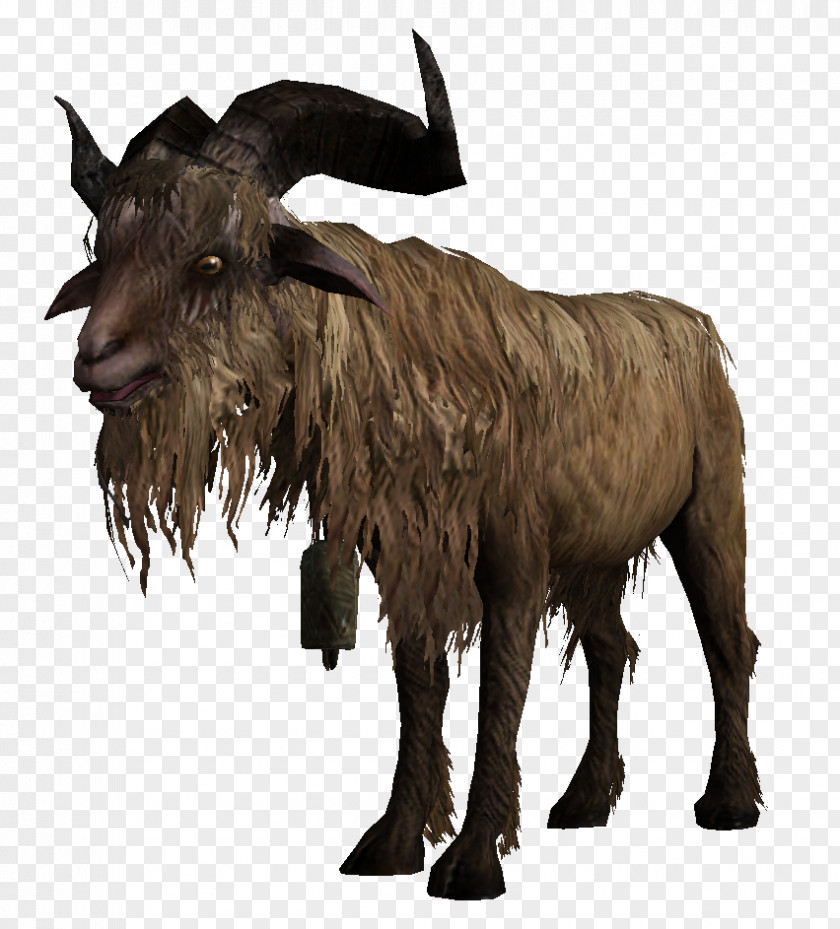 Goat Barbary Sheep Cattle The Elder Scrolls V: Skyrim PNG