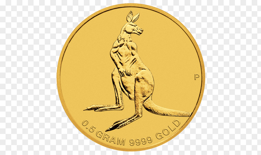 Gold Coin Perth Mint Sovereign PNG