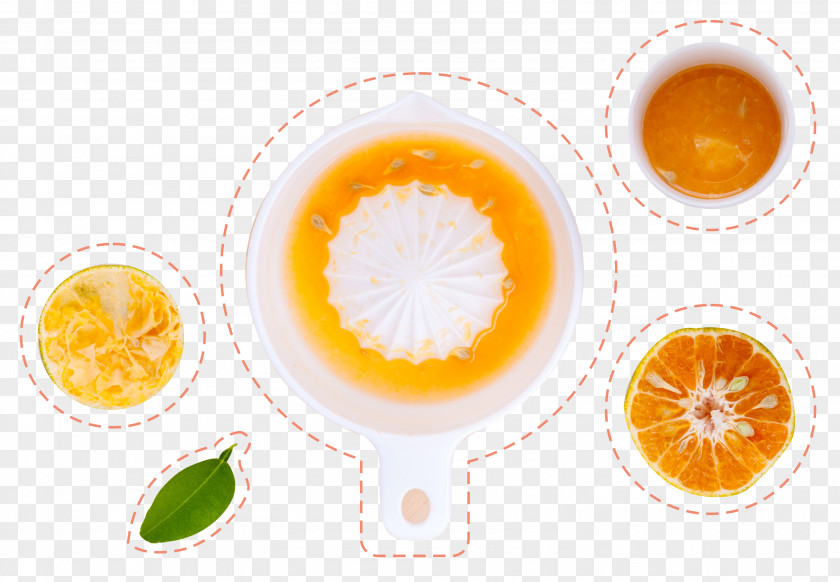 Hand Orange Juice Press Fruit Drink PNG