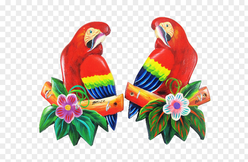Hand-painted Title Box Scarlet Macaw Bird Parakeet Pet PNG