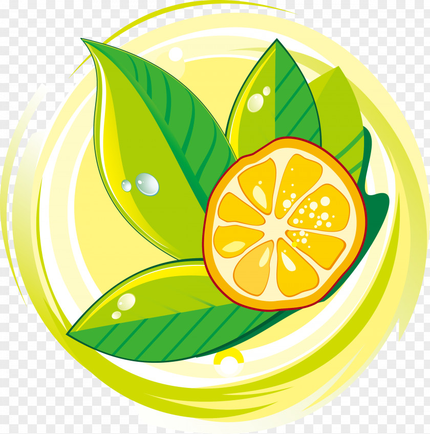 Lemon Decoration Design Vector Lemon-lime Drink PNG