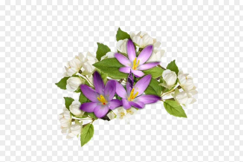 Lilac Floral Design Cut Flowers Violet PNG