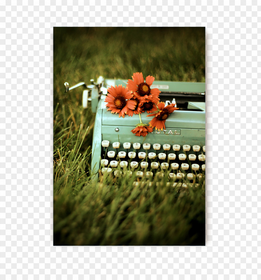 Lotta Nieminen Writing Printing Photography Typewriter PNG