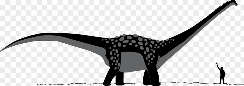 Skeleton Driving Antarctosaurus Apatosaurus Late Cretaceous Dinosaur Sauropoda PNG