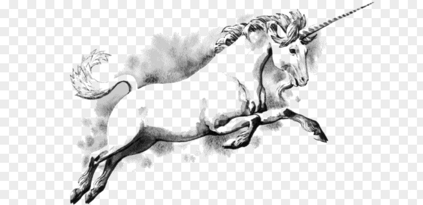 Unicorn The Last Legendary Creature PNG