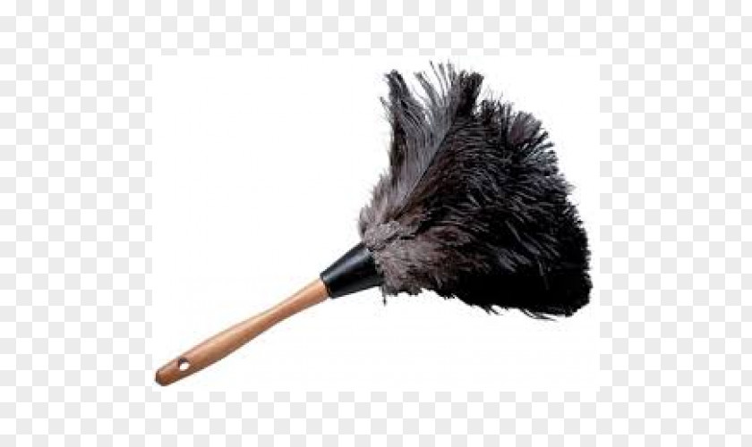 Dirt Devil Feather Duster Mop Cleaning PNG