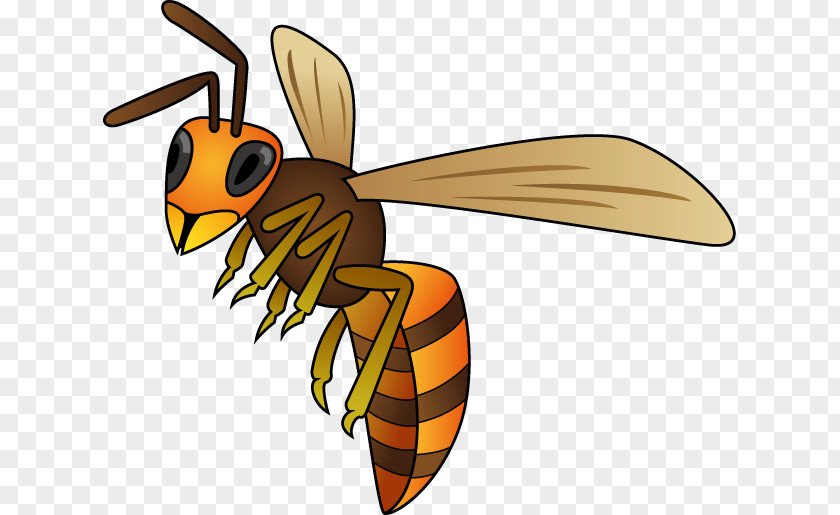 Insect Honey Bee True Wasps Clip Art PNG