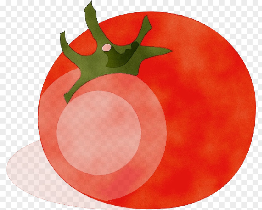 Seedless Fruit Nightshade Family Tomato PNG