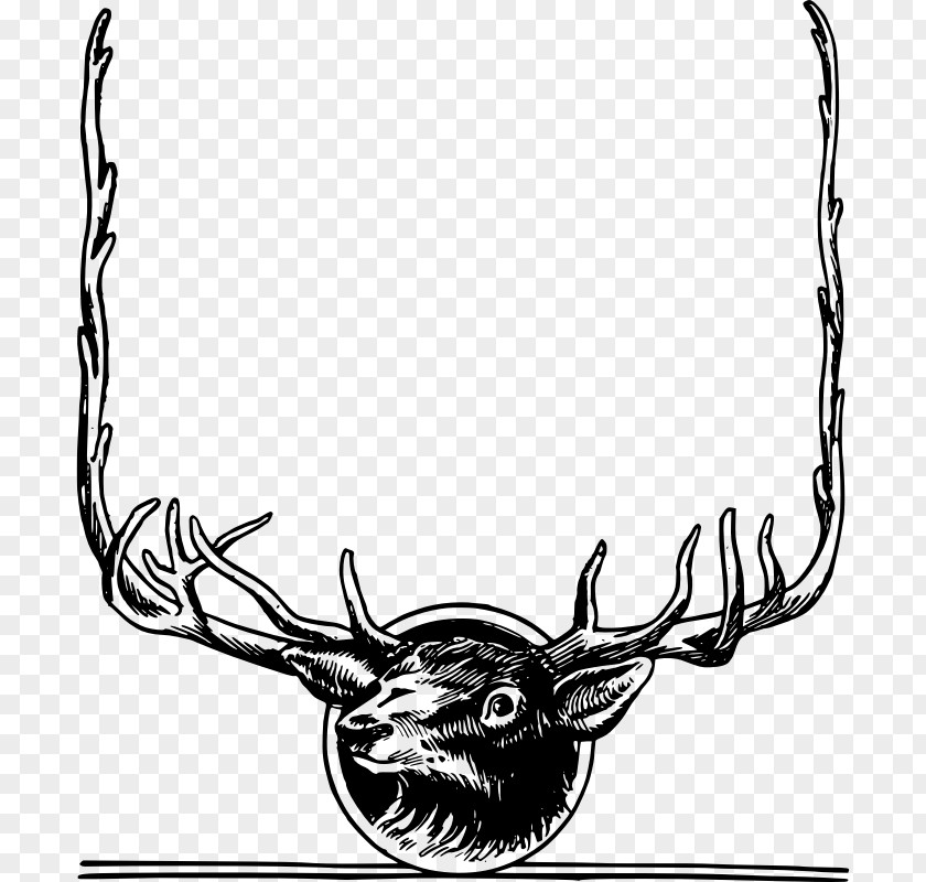 White-tailed Deer Clip Art Vector Graphics Elk PNG