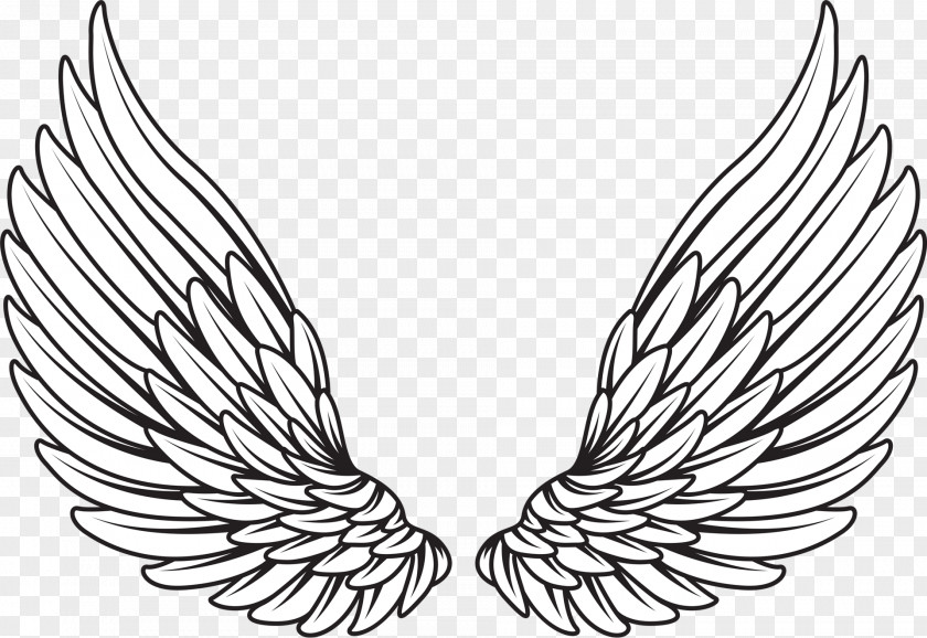 Wings Angel Drawing Royalty-free PNG