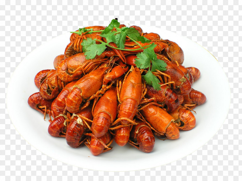 Xuyi County Palinurus Elephas Hot Pot Siu Yeh Food PNG elephas pot yeh Food, Spicy lobster material clipart PNG