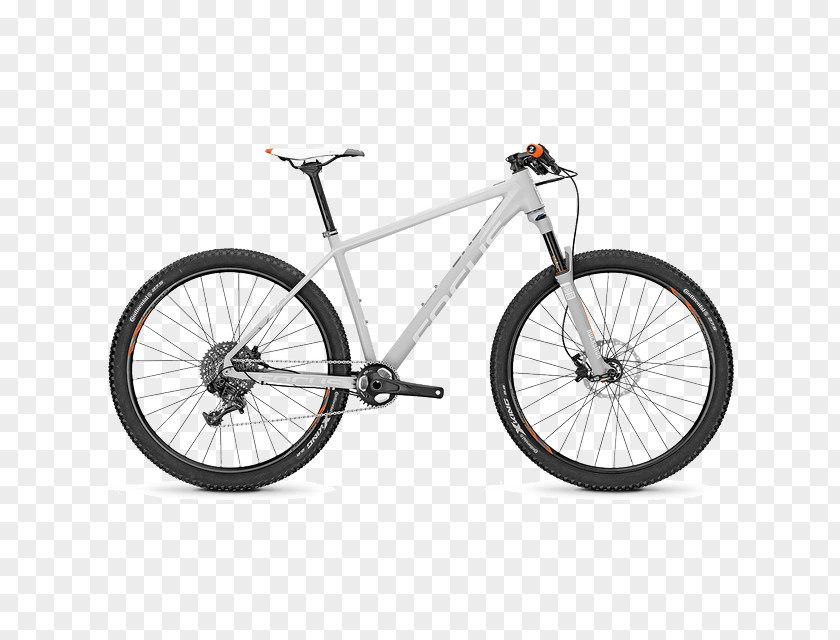 FOCUS Mountain Bike Bicycle Shop Haro Bikes Wheel PNG