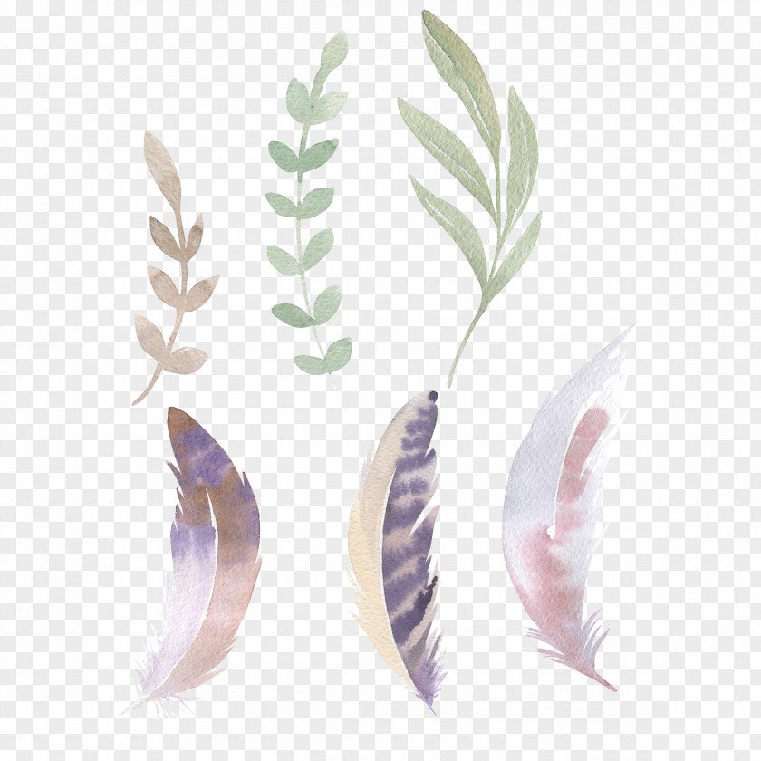 Leaf Gratis Euclidean Vector Clip Art PNG