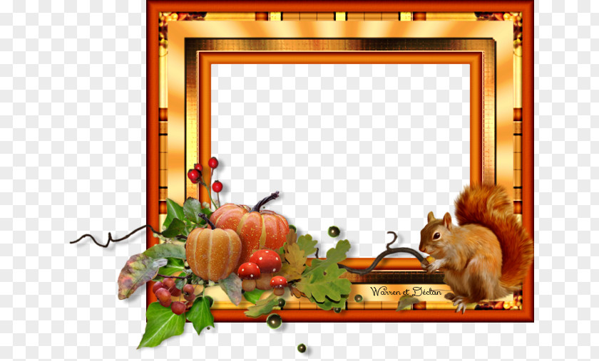 Picture Frames Photography 440s PNG