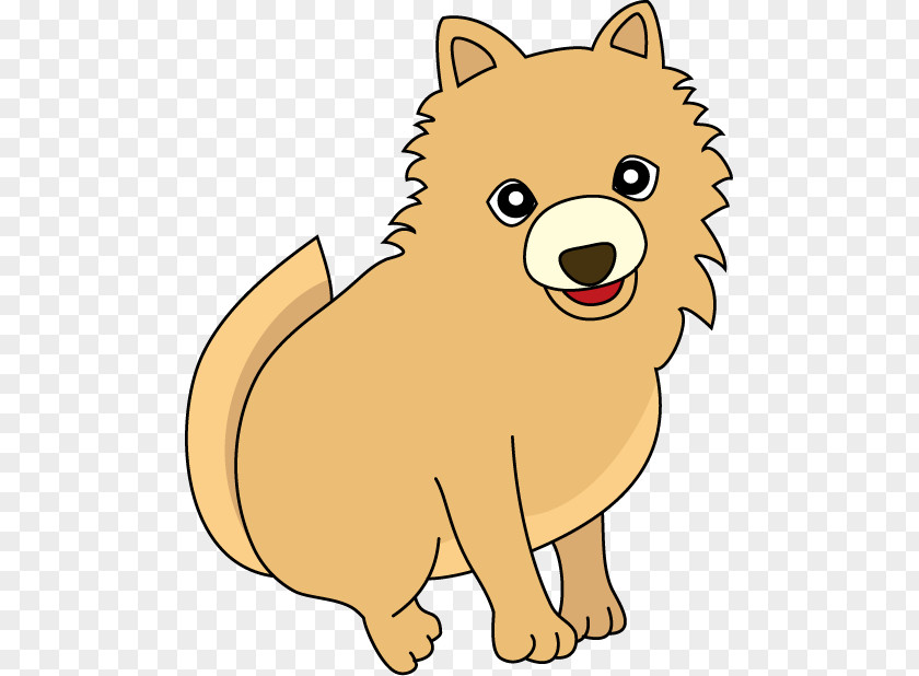 Puppy Pomeranian Finnish Spitz Dog Breed Whiskers PNG