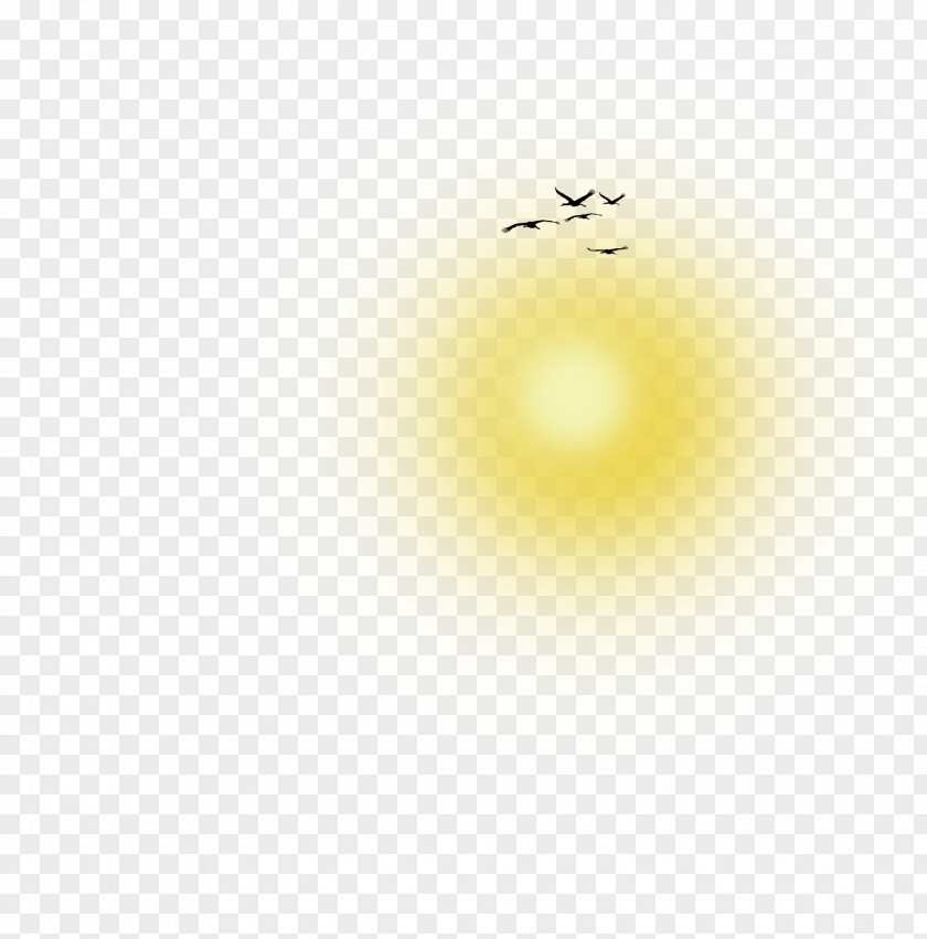 Sun Light PNG