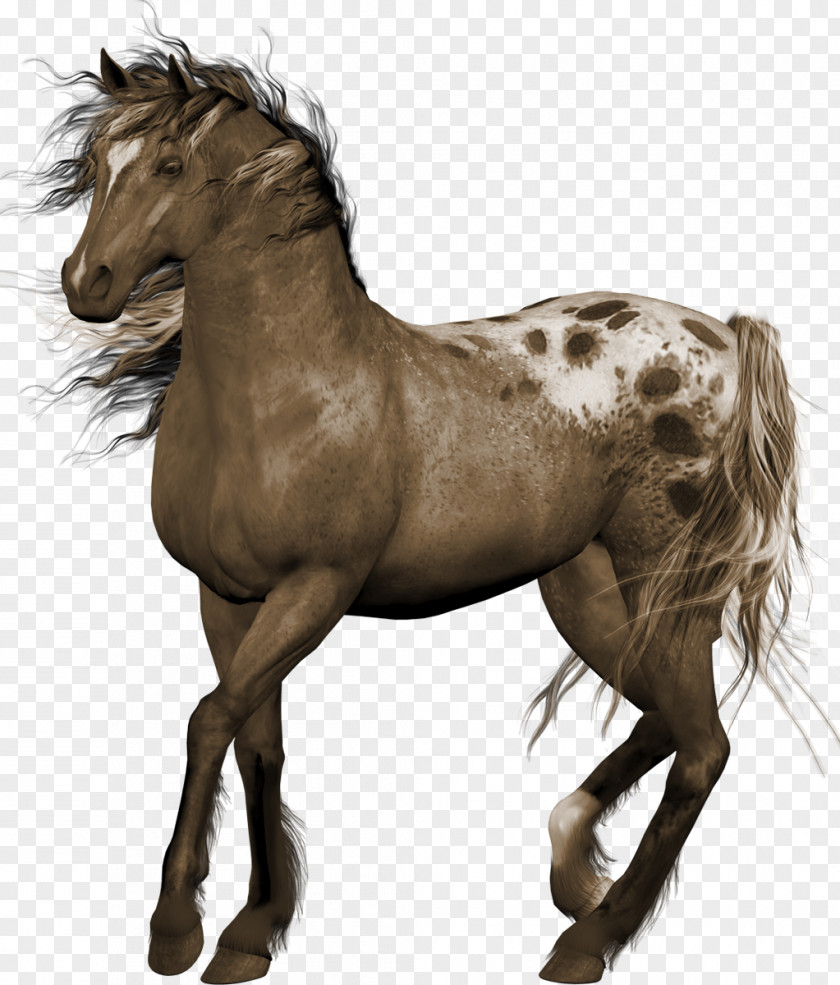 Wild West Horse Clip Art PNG