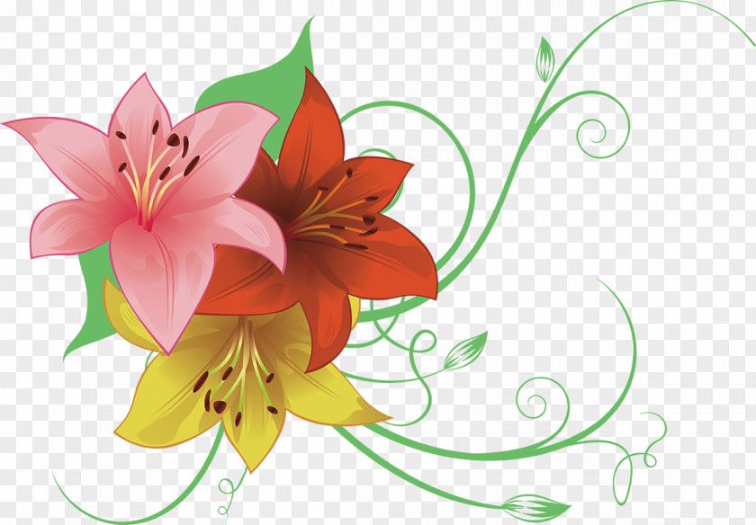 Drawing Flower Lilium PNG