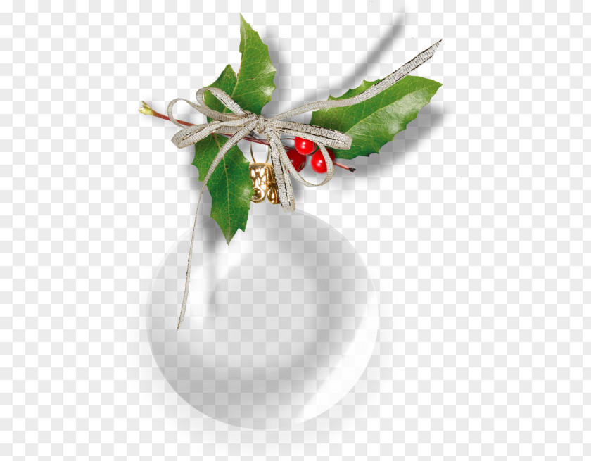 Holly Design Element Clip Art Image Christmas Day Blog PNG