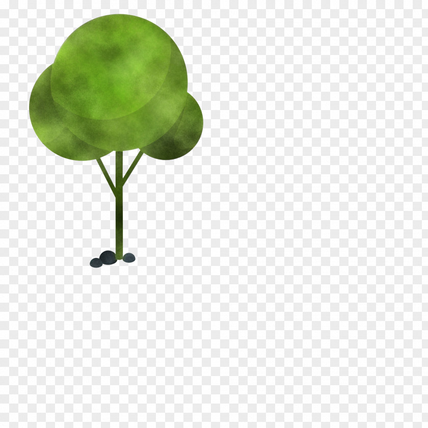 Leaf Green Science Plants Plant Structure PNG