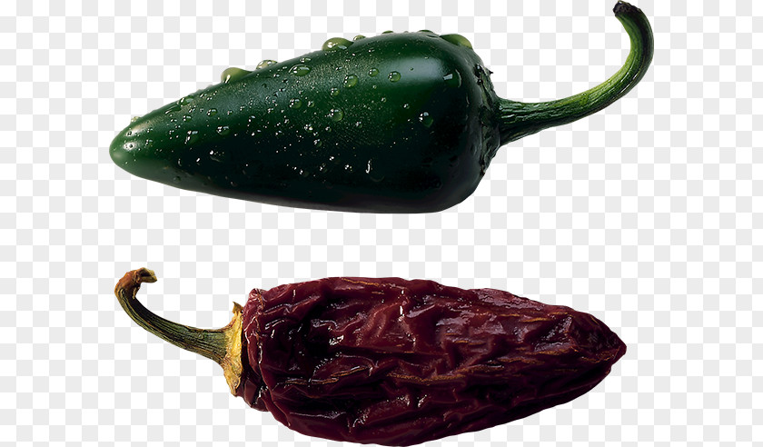 Pepper Serrano Jalapeño Poblano Pasilla Chili Con Carne PNG