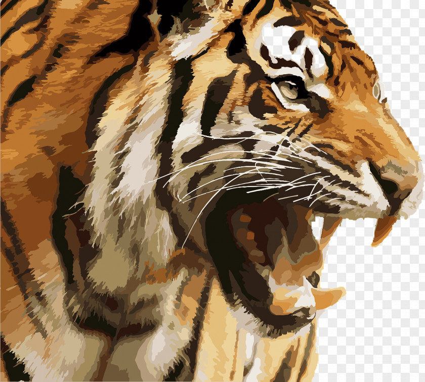 Tiger Kanha Reserve Leopard Felidae Bengal Cat PNG