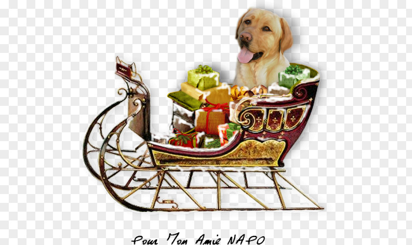 Dog Food Basket PNG