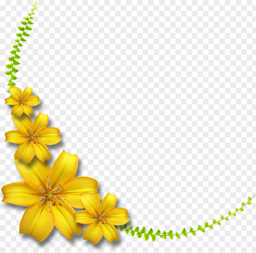 Line Petal Cut Flowers Body Jewellery PNG