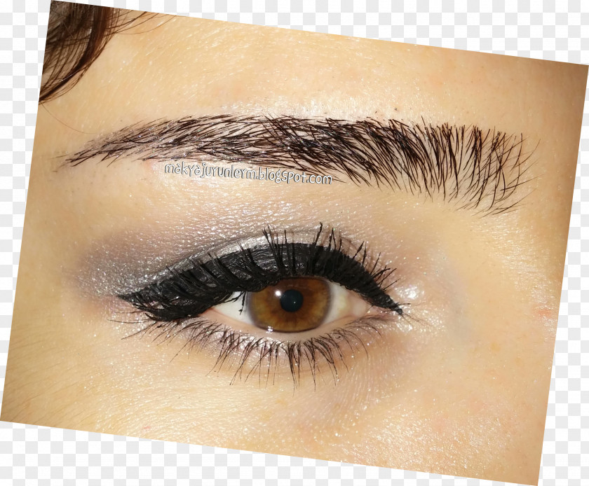 Maskara Eyelash Extensions Eye Liner Shadow Lip PNG
