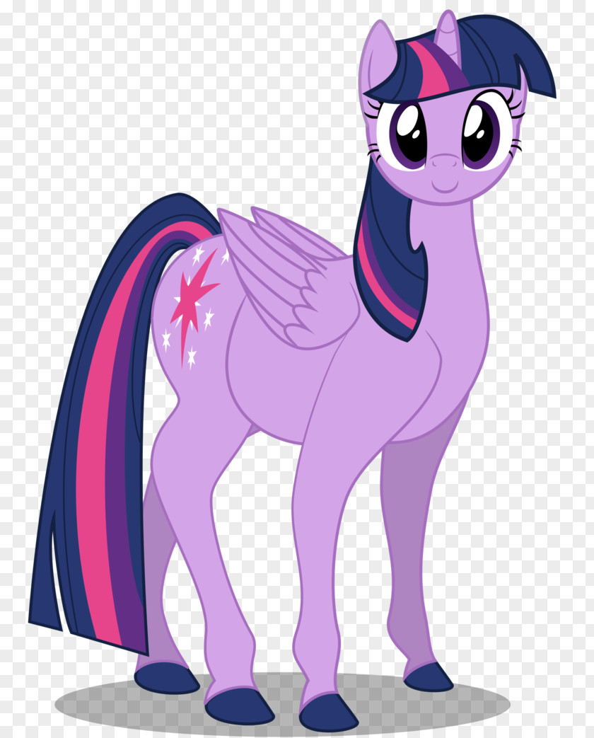 My Little Pony Twilight Sparkle Pinkie Pie Rarity Derpy Hooves PNG
