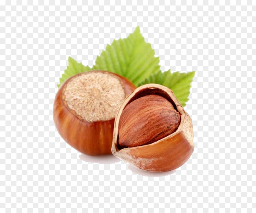 Nuts Package Hazelnut Flavor Oil Food PNG