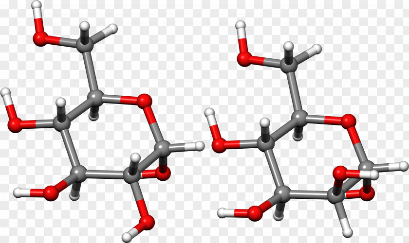 Allose Monosaccharide Aldohexose Protea Rubropilosa Sugar PNG