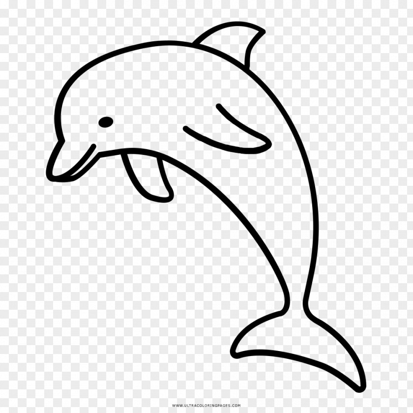 Dolphin River Drawing Clip Art PNG