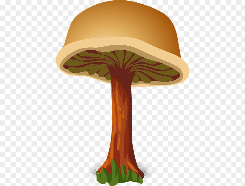 Hand-painted Mushrooms Mushroom Fungus PNG