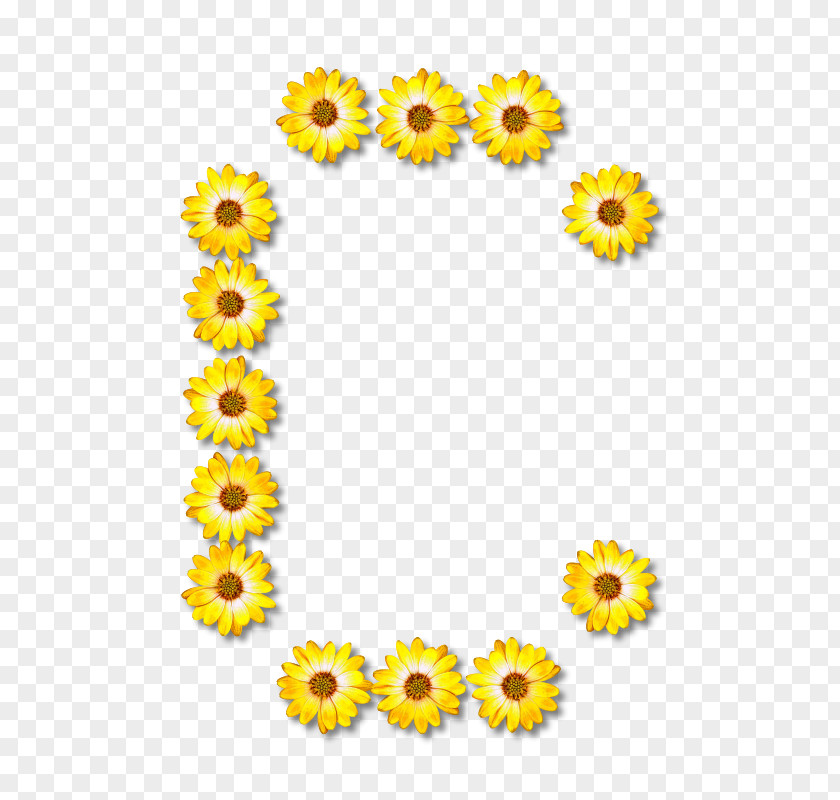 Letter Floral Alphabet Common Sunflower PNG