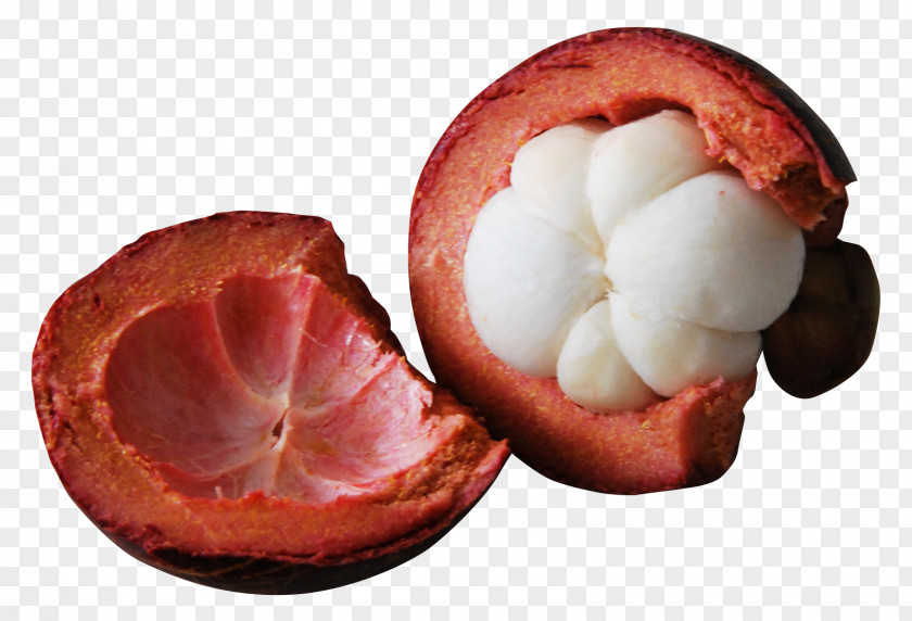 Purple Mangosteen PNG