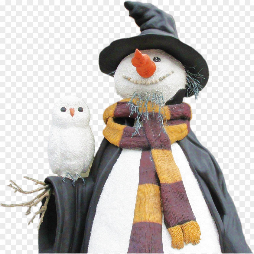 Snowman Owl Marketing Bird PNG